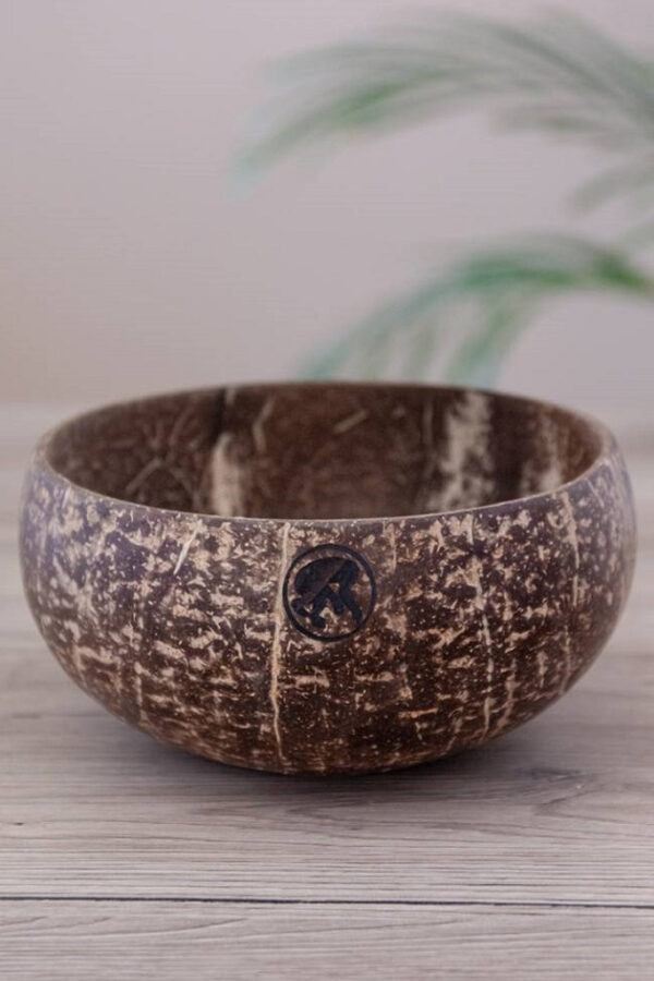 Jumbo coconut bowl