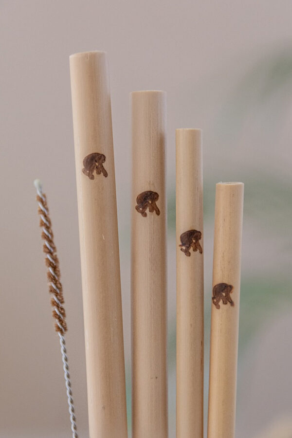 Set 4 Cannucce di bamboo